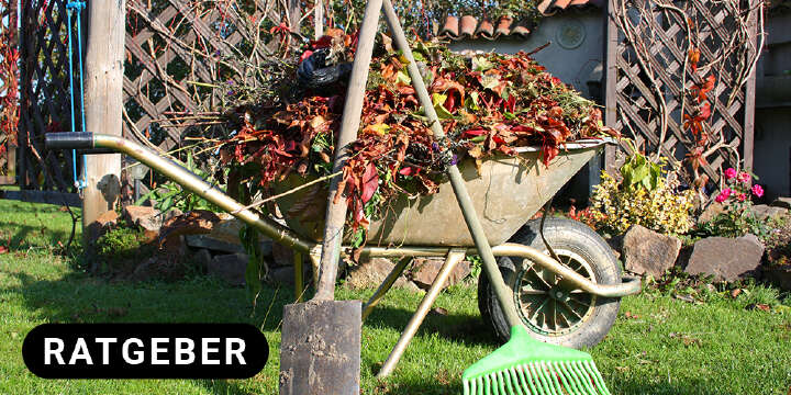 themenwelt titel garten winterfest machen 1000x500